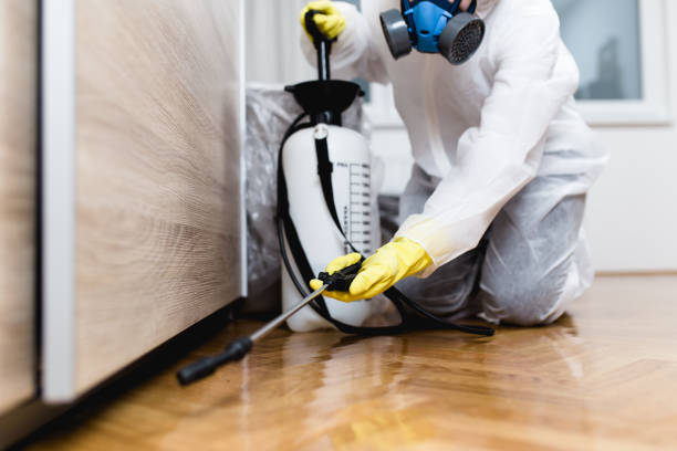 Best Local Pest Control Services  in Pleasant Hill, PA