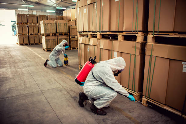 Best Termite Control Services  in Pleasant Hill, PA