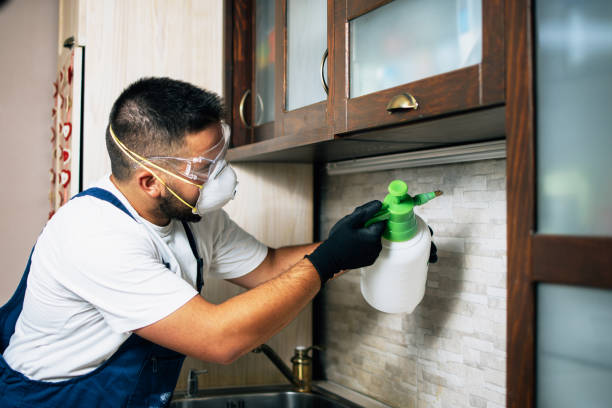 Trusted Pleasant Hill, PA Pest Control Experts