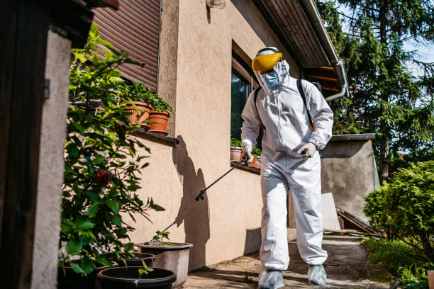 Best Insect Control  in Pleasant Hill, PA