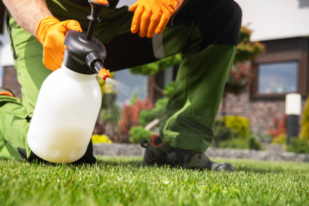 Wildlife Control Services in Pleasant Hill, PA