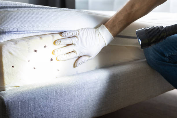 Best Best Pest Control Companies  in Pleasant Hill, PA