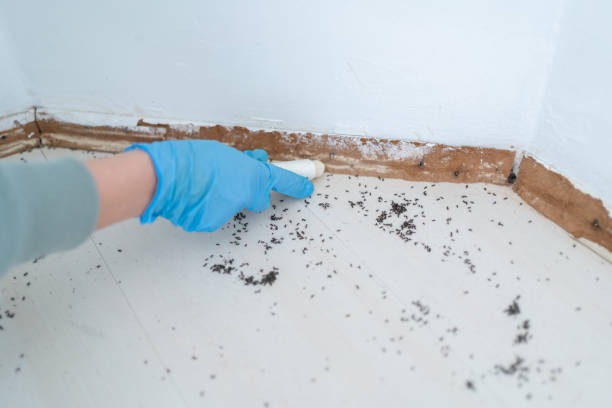 Best Pest Removal Services  in Pleasant Hill, PA