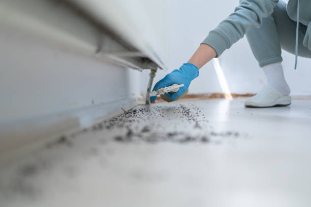 Best Rat Extermination Near Me  in Pleasant Hill, PA