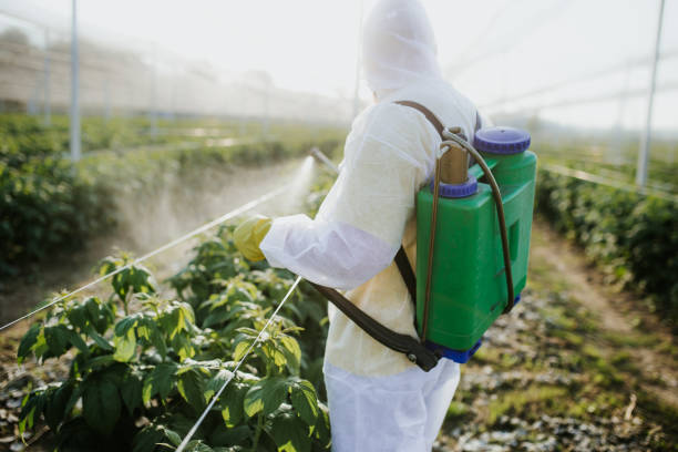 Best Bed Bug Extermination  in Pleasant Hill, PA